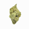 Durban Poison Flower - Image 2