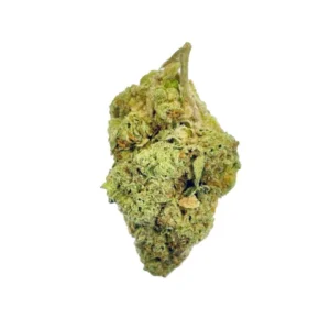 Durban Poison Flower