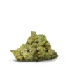 Durban Poison Flower - Image 3