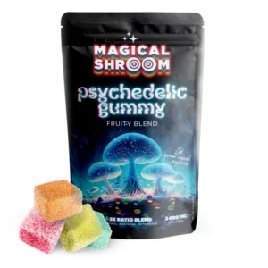 500mg Mushroom Blend Gummies - Fruity Blend - Magical Shroom